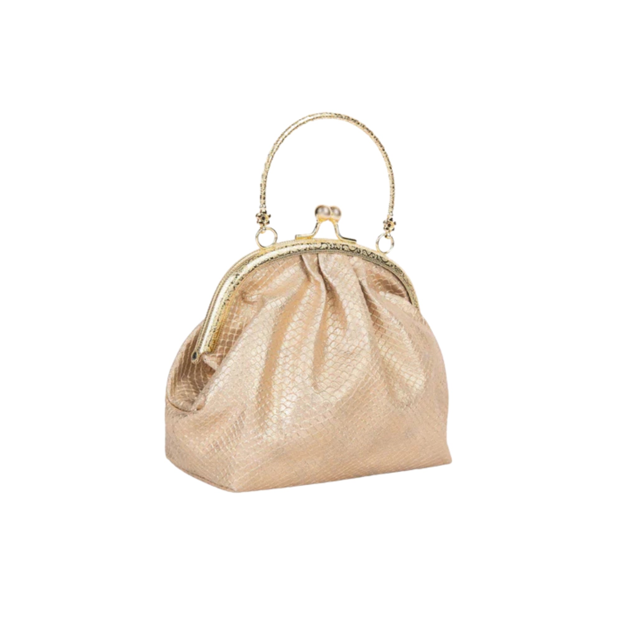 Rose Golden Frame Clutch