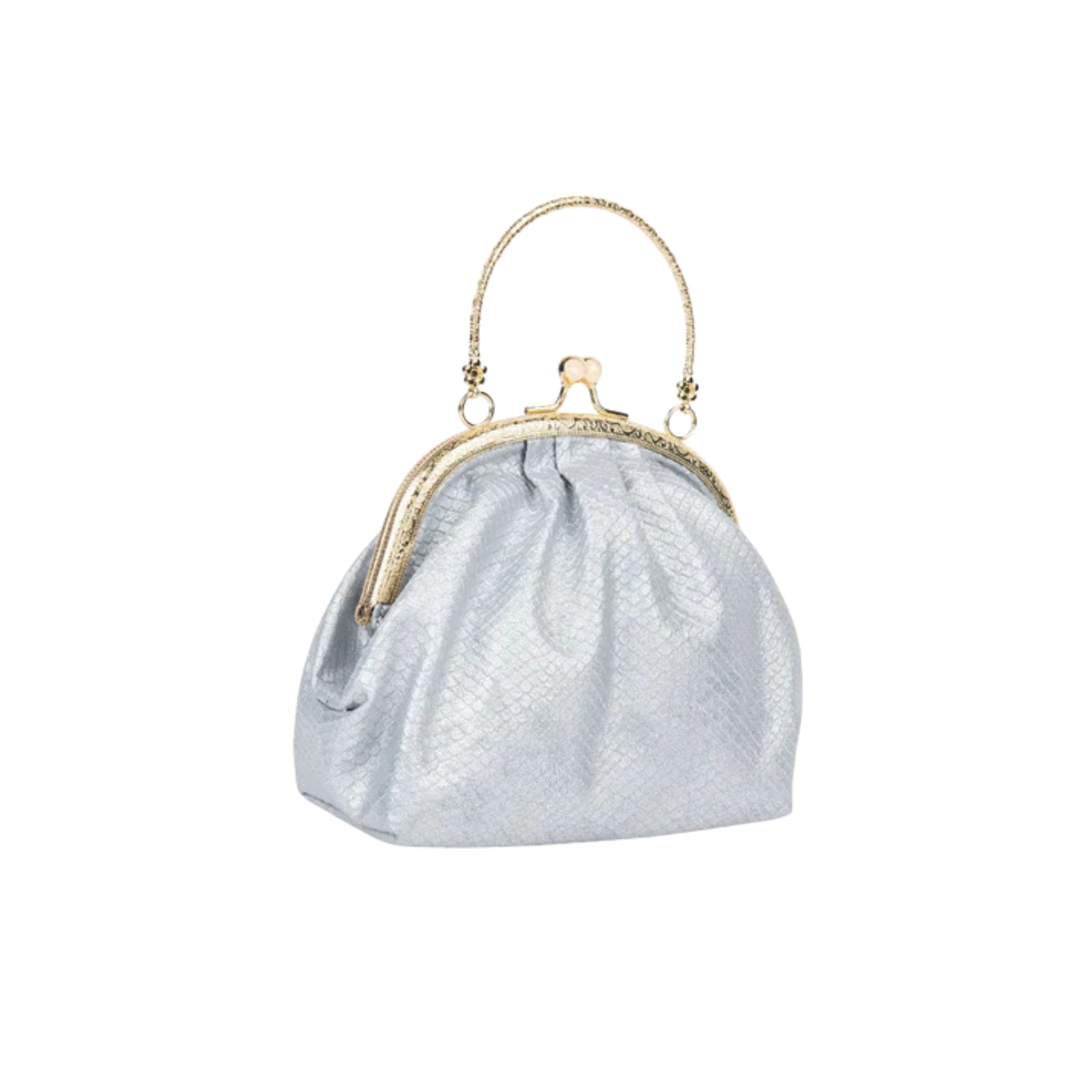 Vintage Silver Frame Clutch